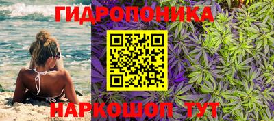 крисы Нягань