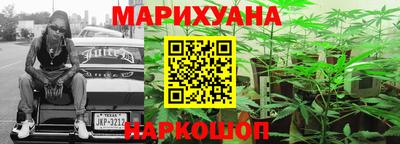 крисы Нягань
