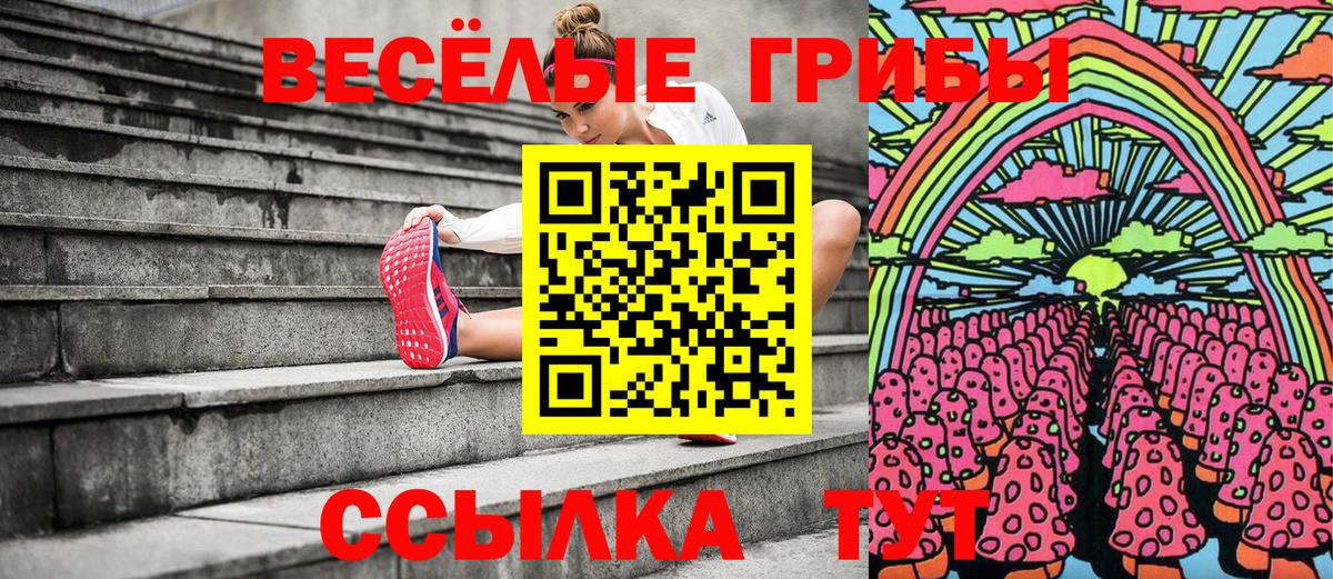 Галлюциногенные грибы Magic Shrooms  Вход с VPN  Свободный 