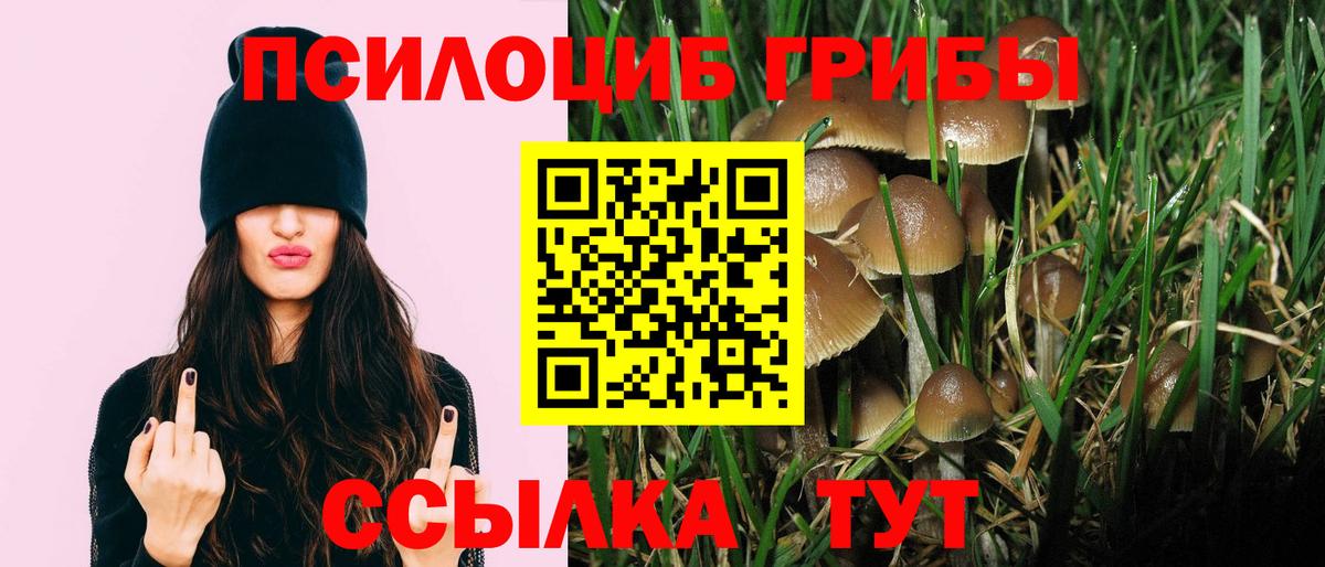 Галлюциногенные грибы мухоморы Свободный